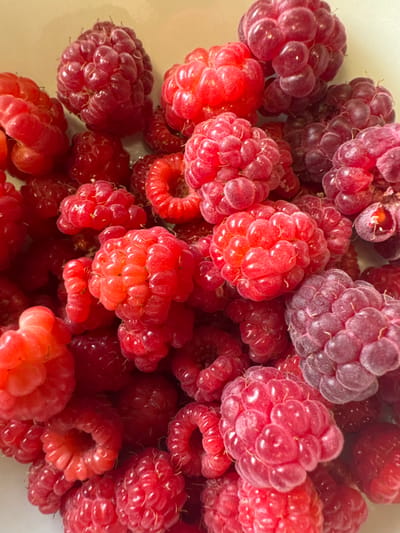 The image is a close-up, overhead shot of a bowl filled with ripe raspberries. The raspberries are a vibrant mix of red and deep pink hues, with some appearing slightly purplish. They are tightly packed together, creating a textured surface. Some raspberries show the characteristic segmented structure of drupelets, while others are more rounded. The lighting is bright, highlighting the glossy texture of the fruit. There are no people or any other objects visible in the frame, and the background appears to be a light-colored bowl. The image does not depict any scene or location in Chuguyevka, Russia; it is a still life of fruit.