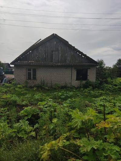 A lone, dilapidated, light brick house stands centered in the frame, surrounded by overgrown vegetation. The house has a weathered, wooden gable roof that appears partially collapsed, with exposed beams and missing shingles. A small, wooden door is visible in the upper gable. There are two windows on the front facade; the left window is intact with a white frame, while the right window is dark and appears to be boarded up or has a dark screen. The brickwork is light in color and shows signs of age.
In the foreground, a dense layer of large-leafed green plants, possibly hogweed, dominates the scene, with some taller grasses mixed in. To the left of the house, a portion of a blue tractor is visible, partially covered by a blue tarp. In the background, a few other houses and trees can be seen under a cloudy, overcast sky with power lines stretched across the upper portion of the image. The overall impression is one of abandonment and neglect in a rural setting, identified as being in the city of Trestna, Russia.