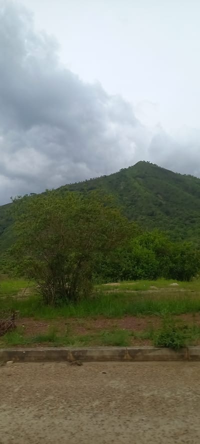 The image depicts a mountainous landscape in the city of Gu, Nigeria. In the foreground, a textured, gravelly surface occupies the bottom portion of the frame, bordered by a concrete curb and a strip of green grass and dirt. Behind this, a solitary, bushy green tree stands prominently in the mid-ground, with more dense foliage and vegetation extending to the right. The background is dominated by a lush green mountain, its slopes covered in trees and vegetation, rising to a peak. The sky above is overcast with dramatic, dark grey clouds, suggesting an impending storm. There are no people or animals visible in the image.