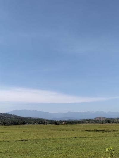 The image depicts an expansive rural landscape in Meunasahpulo, Indonesia, under clear daylight conditions. The foreground consists of a vast, flat, uniformly green field, indicative of agricultural land or grassland. A small, leafy green plant is partially visible in the bottom right corner of the frame. The midground features a dense horizontal band of lush green tropical foliage, including numerous palm trees, separating the field from the background elements. Within this tree line, a small structure with a reddish-brown roof is discernible. Several tall, grey metal lattice electricity pylons are positioned at intervals across the midground, rising above the treeline. The background is dominated by a distant range of mountains, exhibiting a hazy blue-grey coloration. The sky, occupying approximately 60% of the upper frame, is a clear, light blue with a horizontal band of thin, white stratiform clouds situated above the mountain range. No human figures, animals, or active interactions are observed in the scene.
