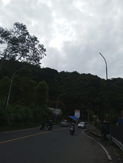 A gray overcast sky hangs over a winding asphalt road. Lush, green vegetation covers a hillside, punctuated by tall trees. Several vehicles are visible, including cars and motorbikes traveling on the road. Streetlights line the roadside, adding to the urban-meets-nature aesthetic. A prominent billboard with text adds to the visual complexity of the scene.