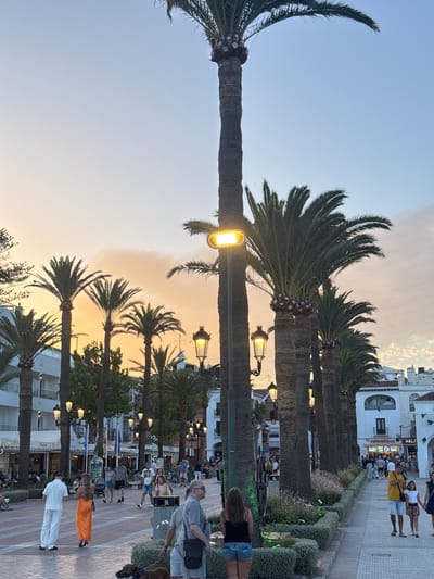The image depicts a street scene in Nerja, Spain, during the late afternoon or early evening. A prominent line of tall palm trees lines the right side of a paved pedestrian walkway. The sky is a soft gradient of blue and orange, indicating sunset. People are walking along the pathway, some in small groups, and others individually. Buildings with white facades and balconies are visible in the background, some housing shops with signage. Streetlights, some glowing, are interspersed among the palm trees. In the foreground, a man in a white outfit and a woman in a long orange dress are walking away from the camera, and a dog on a leash is visible near them. Other individuals and couples are scattered throughout the scene, some browsing shops or simply enjoying the promenade. The overall atmosphere suggests a lively, yet relaxed, evening ambiance in a Mediterranean town.