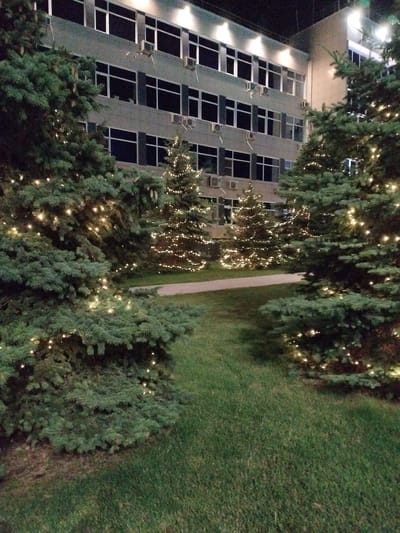 The image depicts a nighttime scene in front of a multi-story building, likely an office or residential complex, located in Vinogradny, Russia. The building features a modern facade with numerous windows and several visible air conditioning units. In the foreground and midground, several evergreen trees are decorated with strings of warm-toned fairy lights, creating a festive ambiance. The ground is covered with green grass, and a pathway or paved area is visible between the trees and the building. The overall impression is one of a well-maintained outdoor space during the holiday season.