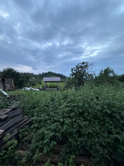 The image depicts a slightly overgrown yard in a rural setting, possibly Gon'ba, Russia. The foreground is dominated by a dense thicket of green foliage, with some weathered wooden planks stacked to the left. In the mid-ground, a simple wooden structure with a metal roof, resembling a wellhead or a small gazebo, stands amidst the greenery. To the left of this structure is a small wooden shed or lean-to. Further in the background, more trees and bushes are visible, with a hint of other structures or roofs peeking through the foliage. The sky above is overcast with heavy, dark clouds, suggesting an approaching storm or twilight. No people or animals are present in the image. The overall impression is one of a neglected but functional rural outdoor space.