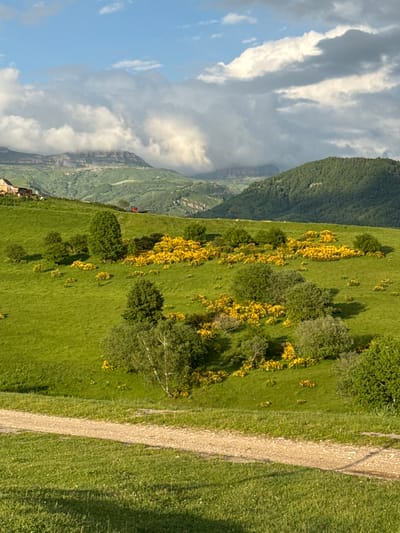 The image depicts a wide, rolling green meadow dotted with vibrant yellow flowering bushes. In the background, layered mountain ranges rise, their peaks partially obscured by dramatic, billowy clouds. A dirt path winds across the foreground. On the left side of the image, a cluster of buildings, likely houses or farm structures, is visible on a higher slope. Further up the hill, a red tractor or similar piece of farm equipment is parked. The sky is a mix of blue with scattered white and gray clouds. The scene captures a natural landscape with signs of human habitation.