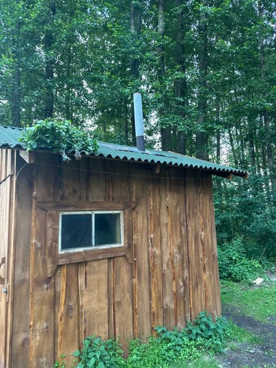 The image shows the side of a small wooden building in an outdoor setting. The building has vertical wooden planks for its walls and a green corrugated metal roof. A silver metal chimney protrudes from the roof. There is a small, double-paned window on the side of the building, framed with wood. A bundle of leafy branches is resting on the edge of the roof, overhanging the left side. Some green foliage grows around the base of the building and in the background, suggesting a natural or overgrown environment. Trees with dense green foliage form a backdrop behind the structure. The lighting suggests it is daytime. The location is identified as Слабодкаўскі сельскі Савет, Belarus. There are no people visible in the image.