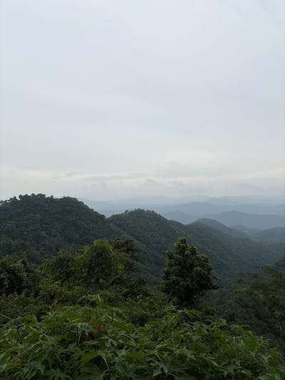 This image depicts a lush, mountainous landscape in Samoeng Tai, Thailand, under a hazy, overcast sky. In the foreground, dense green foliage with large leaves dominates the bottom portion of the frame, obscuring the ground. Beyond this immediate vegetation, rolling hills covered in thick, dark green forest stretch into the distance. The mountains are layered, with each successive range appearing lighter and more desaturated due to atmospheric perspective, creating a sense of depth. The sky is a uniform pale gray, with subtle variations indicating clouds, and offers no direct sunlight. The scene is devoid of any human presence or man-made structures, presenting a purely natural environment.