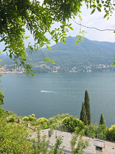 This is a vertical, eye-level, wide shot of a serene lake vista in Moltrasio, Italy, likely taken on a sunny day. In the foreground, lush green foliage and branches frame the left side of the image, with some vines trailing across. The lake dominates the mid-ground, its surface rippled by gentle waves. A white speed boat is visible, leaving a distinct wake as it moves across the water. Further in the distance, along the far shore, a densely wooded mountain slopes down to a picturesque village with buildings clustered along the waterfront. The village appears to be a vibrant mix of colors, with red and yellow rooftops visible. On the right side of the image, a stone-paved terrace leads to a building with a grey tiled roof. A cypress tree stands tall on the right side of the lake, adding to the Mediterranean feel of the scene. The overall mood is tranquil and picturesque, evoking a sense of peaceful vacationing. No visible text is present in the image.