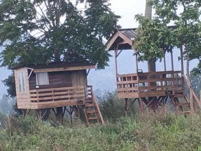 The image depicts an outdoor scene in Suối Đục, Vietnam, featuring two elevated wooden structures situated amidst dense green vegetation. On the left, a small, enclosed wooden cabin-like structure stands elevated on wooden stilts and braces. It features dark brown horizontal plank siding, a lighter-colored section with a vertical window on its left side, and a smaller rectangular window. A wooden railing forms a small front porch, accessible by a wooden ladder. A tree trunk passes through its roof. To the right, an open-air wooden platform with a gabled roof, resembling a gazebo, is also elevated on wooden stilts. This structure features a prominent wooden railing around its perimeter, and a large tree trunk passes directly through its center and roof. A wooden ladder provides access. A small, dark rectangular sign is affixed to its railing. The foreground is covered in overgrown green and brown grasses and shrubs. The background reveals hazy, distant hills under an overcast or diffused sky. No individuals or animals are present in the scene.