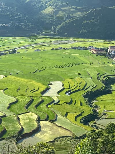 This detailed image captures a panoramic view of the Tú Lệ valley in Vietnam. The scene is dominated by a vast system of terraced rice fields under bright daylight.

In the foreground, the top of lush green trees and foliage partially frame the lower portion of the image.

The midground features numerous rice paddies, meticulously terraced and conforming to the undulating topography. These paddies display varying shades of green, ranging from vibrant light green indicating young or recently planted rice, to darker emerald tones, and patches of light blue-grey reflecting standing water. Many terraces exhibit distinct, curvilinear shapes. A winding river or stream, light grey in color, traverses the flatter section of the valley in the upper-midground, bordered by some of the flatter rice fields. To the right of the river, a cluster of buildings forms a small settlement. These structures feature predominantly light-colored walls, with roofs in shades of reddish-brown and dark grey.

The background consists of steep, verdant mountains and hills, densely covered with trees. Traces of terraced cultivation are visible on the slopes of these distant hills, particularly on the left side, ascending towards the peaks. The farthest mountains appear somewhat hazy due to atmospheric perspective.

No individuals or active human figures are visible within the frame. The sunlight appears to emanate from the left, casting subtle shadows that define the contours of the terraces and mountains.