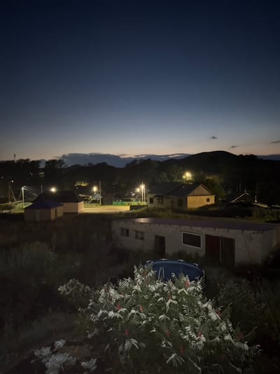 A dimly lit, slightly elevated exterior shot captures a rural residential area at dusk or dawn. The sky is a deep, gradient blue, transitioning to lighter tones near the horizon, with faint clouds. The landscape is dominated by rolling hills covered in dark foliage. Several small, one or two-story buildings are scattered throughout the scene, some illuminated by streetlights. One prominent building in the foreground appears to be a long, rectangular structure with a light-colored facade and a darker roof. To the left and slightly behind this structure is a bright blue, round inflatable pool. In front of the pool, and also in the foreground, is a lush bush with elongated, pale green leaves and striking red, fuzzy seed pods. Other vegetation fills the lower portion of the frame. The overall impression is of a quiet, rural setting at the beginning or end of the day. The image does not contain any people.