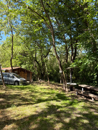 The scene is a grassy area near a forest edge, likely in Kanchevo, Bulgaria. A silver car is parked beside a small wooden shed stacked with firewood. Overhead, branches of trees covered in green leaves create dappled shade across the ground. In the background, a wooden picnic table with benches is visible further up the grassy slope.