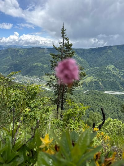 The image depicts a scenic mountain landscape with a village nestled in the valley below, likely in or near Nizhnyaya Teberda, Russia. In the foreground, out-of-focus pink and yellow flowers are visible, along with lush green foliage and tall grasses. A pine tree stands prominently in the mid-ground, with another slender pine to its right. Beyond these elements, rolling green hills covered in dense forest stretch into the distance, forming a rugged mountain range under a sky with scattered white and gray clouds. A river snakes through the valley, and a small settlement with buildings and roads is situated alongside it. The overall impression is one of natural beauty and a remote, mountainous terrain.