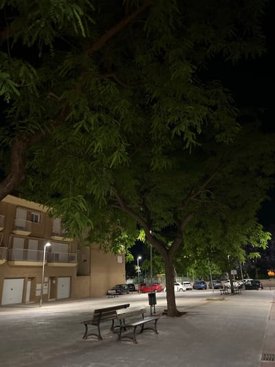 The image depicts a dimly lit street scene at night. A large tree with dense green foliage dominates the left side of the frame. To the right is a paved area with park benches lined up along the edge. In the background, there is a multi-story building with visible balconies and street lights. Further down the street, a series of parked cars can be seen. The general location is suggested to be Puçol, Spain. The absence of people suggests a quiet or late-night setting. The forensic description would categorize this as an outdoor urban environment with trees, street furniture, buildings, and parked vehicles.