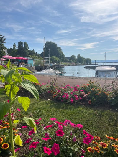 This is a medium-shot, eye-level, vertical, outdoor photograph of a waterfront scene in Évian-les-Bains, France. In the foreground, a large green plant with broad leaves is positioned on the left side of the frame, partially obscuring a bed of pink and yellow flowers. Behind the flowers, a paved walkway borders a body of water. Several boats are docked in the water, including a white motorboat with a cabin on the right and two sailboats covered with white tarpaulins on the left. The water is calm, reflecting the blue sky with scattered white clouds. Across the water, a tree-lined shore is visible, with buildings and structures interspersed among the trees. A small, light blue building with a peaked roof is situated near the waterfront, with pink umbrellas and chairs arranged outside what appears to be a cafe or restaurant. In the distance, hills and mountains are faintly visible under the bright sky. The overall atmosphere is peaceful and sunny, characteristic of a summer day.