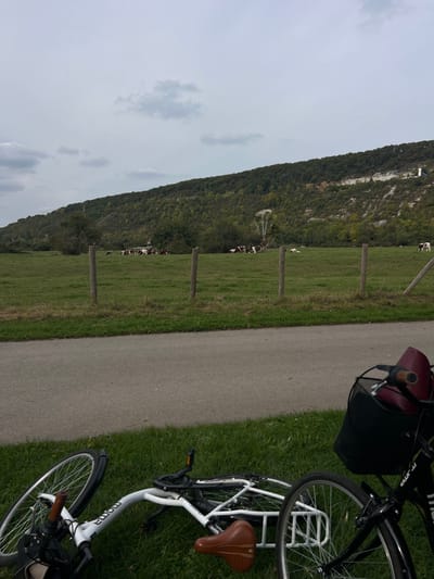 The image displays a rural landscape near Vernon, France, under an overcast sky. In the immediate foreground, two bicycles are present on green grass bordering a paved pathway. A white bicycle lies on its side to the left, exhibiting a brown leather saddle and branding partially obscured. To the right, the front wheel, handlebars, and a black basket of a dark-colored bicycle are visible, with a dark red object contained within the basket. A grey asphalt path traverses horizontally across the mid-foreground. Beyond this path, a fence constructed from vertical wooden posts separates the path from a expansive green pasture. Approximately fifteen brown and white cows are dispersed across this field, some standing and others resting on the grass. The background is dominated by a substantial wooded hillside, characterized by dense green foliage and exposed sections of light-colored rock or cliff faces. A light-colored, possibly industrial, structure is visible on the upper right portion of the hillside. The sky overhead is grey and largely covered with scattered clouds.