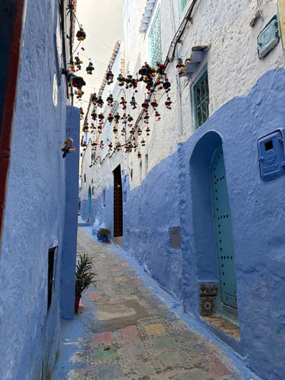 The image depicts a narrow, blue-painted alleyway in the city of Chefchaouen, Morocco, under an overcast sky. The alley is enclosed by buildings with textured, indigo and sky-blue plastered walls, transitioning to white on the upper stories. Suspended overhead between the buildings are multiple strings of decorative, multicolored pom-poms or tassels, creating an canopy effect.
On the right side of the alley, a prominent arched doorway, painted in a teal hue and adorned with dark, circular studs, is set into the blue wall. Below this door, near the base, is a small section of decorative ceramic tiles featuring an octagonal star pattern. Above and to the right of this doorway, a rectangular blue metal utility box, marked "RADEM," is mounted on the wall. Further up on the same wall, a gridded window is visible, and beneath it, a light blue utility panel with the number "2062" inscribed on a gray box.
The left wall, also blue, features a small, dark rectangular opening or window in the foreground. Midway down the left side, a single, multicolored hanging figure, resembling a small knitted doll, dangles from an overhead string.
The paved walkway of the alley is comprised of various gray stones or concrete blocks, many of which are painted in faded square patches of red, yellow, green, and blue. A distinct line of blue paint traces the base of both walls along the ground. A potted plant with spiky green leaves in a red pot stands on the left side of the path, approximately in the middle of the frame. Further down the alley on the right, another small blue pot with a plant is visible near the base of the wall. Electrical wires are strung horizontally across the upper facades of the buildings. No people or active interactions are visible in the scene.
