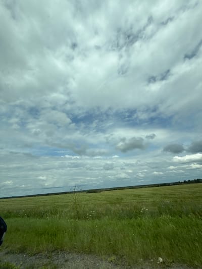 The image depicts a vast, green field under a cloudy sky, with a hint of a wooded area on the horizon. The foreground shows a gravel path bordering the field. The sky is filled with a mix of light and dark clouds, with patches of blue visible. There is a single, thin tree or large weed in the middle ground of the field, along with a few small white wildflowers scattered throughout the grass. The overall impression is a rural landscape. There are no people or identifiable structures visible in the scene. The location is identified as Ключи, Russia, which is a village in the Krasnoyarsk Krai.