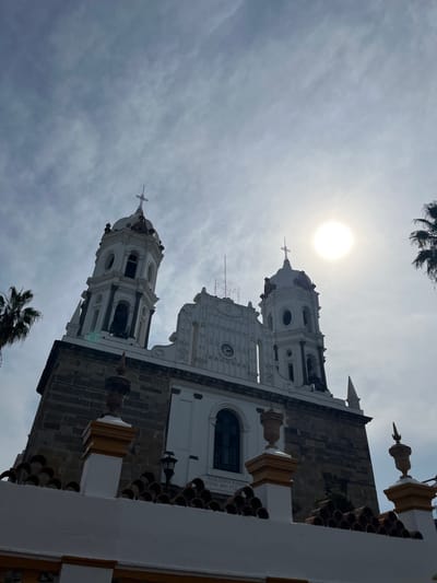 A low-angle shot of a large, ornate church. The building features two prominent bell towers with crosses atop their domes. The facade is a mix of white and dark stone, with arched windows and decorative details. The sky is overcast with the sun shining brightly. The foreground includes sections of palm trees at the top and bottom corners of the frame.