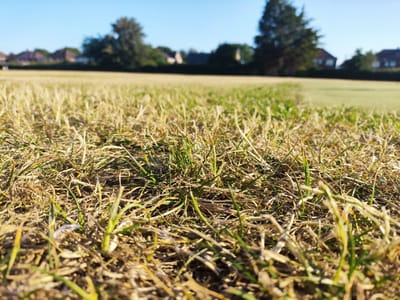The image depicts a close-up, low-angle view of dry, sun-bleached grass in the foreground. Beyond the dry grass, a strip of greener, healthier grass is visible, suggesting a difference in treatment or recent watering. In the background, out of focus, are houses with red-tiled roofs and trees, indicative of a residential area. The sky is a clear, bright blue. The scene suggests a warm, sunny day, likely during a dry period, and the location is identified as Melling, United Kingdom. There are no people or visible actions in the image. The overall impression is of a park or recreational field experiencing drought conditions in parts.