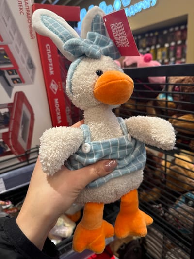A plush toy of a goose is held in someone's hand. The goose has white fur, an orange beak, and orange feet. It wears a blue-and-white checkered outfit. A red tag hangs from one side of the goose's head. The hand holding the goose has painted nails. In the background, there's a store shelf filled with various items and a toy building set with the words "SPARTAK MOSCOW" on the box. A metal wire rack is also visible.