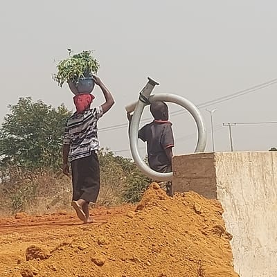 The image, oriented upright, depicts two individuals, likely men, engaged in outdoor activities under a bright, hazy sky. The setting appears to be a dry, dusty area with reddish-brown earth and sparse vegetation.
In the foreground, slightly to the left, a person walks barefoot, carrying a large, blue basin filled with abundant green leafy material on their head. This individual is wearing a short-sleeved shirt with horizontal white, black, and grey stripes, dark trousers, and a red head covering or scarf. Their right arm is slightly raised, suggesting movement or balance.
In the background, to the right, another person is bent over, appearing to operate or interact with a large, flexible, light-grey corrugated hose. The hose forms a prominent loop around their upper body, with a nozzle-like attachment visible near their head. This individual is dressed in a dark short-sleeved shirt with a red trim around the collar and dark trousers.
The ground is dry and uneven, with a significant mound of reddish-brown soil or sand visible on the right side of the image, next to a light-colored concrete or stone structure. Behind the individuals, some green bushes are scattered, and in the distant background, utility poles and power lines are faintly visible against the bright, possibly sun-drenched, sky. The overall scene suggests a daytime environment where physical labor and transportation are taking place, possibly at a construction site or an agricultural area.