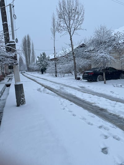 A snow-covered street scene shows tire tracks in the cleared road, with footprints alongside. A black car is parked near a building, while trees heavily laden with snow line the street. Wires and poles are visible in the foreground, adding to the wintery ambiance. The sky is overcast, contributing to the overall cold and snowy impression of the residential area.