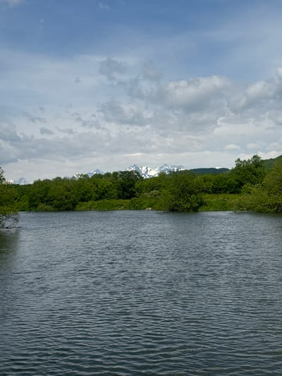 The image depicts a serene natural landscape with a body of water in the foreground and a lush green forest and snow-capped mountains in the background. The sky is partly cloudy with a mix of blue sky and white clouds. The water is calm with gentle ripples, reflecting the overcast sky. The forest is dense and appears to be comprised of deciduous trees. The mountains in the distance are rugged and covered in snow, suggesting a high altitude or a cooler climate. The scene is tranquil and evokes a sense of natural beauty and wilderness. It is not possible to determine the specific location within the city of Malka, Russia from the image alone.