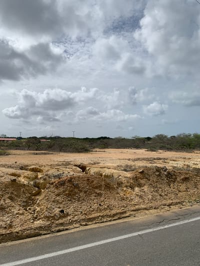 The image shows a dry, eroded landscape with sparse vegetation and a cloudy sky. In the foreground, a cracked asphalt road with a white line runs diagonally across the bottom of the frame. The land adjacent to the road is a reddish-brown dirt embankment with visible erosion gullies. Beyond the embankment, there is a flat, sandy area with scattered dry brush and a few cacti. In the middle ground, a line of trees and shrubs with dry, leafless branches stretches across the horizon. Several small, red-roofed buildings are visible amongst the trees, along with utility poles. The sky is filled with heavy, grey clouds, suggesting overcast or stormy weather. The scene appears to be located in a rural or semi-arid area. The location is identified as being in the city of Boca del Río, Venezuela.