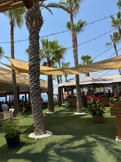 A beachside open-air restaurant is depicted in Kissonerga Community, Cyprus, under a clear blue sky. The scene is dominated by several tall palm trees with rough, textured trunks, some of which are adorned with strings of decorative lights. The ground is covered with artificial green turf, and white pebbles surround the base of some palm trees. In the foreground, a black pot holds a small green plant.
Further into the scene, a thatched-roof bar or kiosk stands, with people visible inside and around it. The bar has a bamboo-style facade and is stocked with bottles. Colorful red and yellow flowers in a wooden planter add a touch of vibrancy to the area. A sign with the text "PLEASE TO BE SE" is visible on a wooden stand to the right.
Behind the bar, there's a covered seating area with tables and chairs, where patrons are seated. The sea and a distant coastline are visible in the background, suggesting a beachfront location. The overall atmosphere appears to be relaxed and casual, indicative of a holiday resort or beach club.