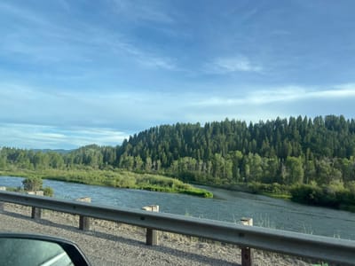 A wide, blue river flows through a lush green landscape in Swan Valley, United States of America. The riverbanks are lined with dense green trees and vegetation. A forest of tall evergreen trees covers the rolling hills in the background. The sky above is a clear blue with scattered white clouds. In the foreground, a silver guardrail runs along a gravel road, and the side mirror of a vehicle is partially visible. The scene appears to be a scenic view from a roadside location, likely captured during the daytime.