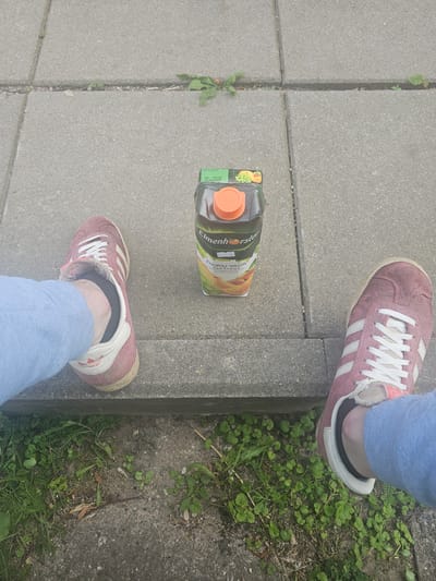 The image shows two pairs of feet wearing pink Adidas Gazelle sneakers. One pair of feet is positioned on a concrete sidewalk, while the other pair is on a patch of green grass and dirt next to the sidewalk. A carton of "Elmenhorster" juice with an orange cap is lying on the sidewalk between the two pairs of feet. The carton has some text visible, including "Elmenhorster" and "SAIRIU VAISIŲ SULČIŲ NECTARAS". The scene appears to be outdoors during the daytime, with overcast weather suggested by the lighting. The setting is a paved area with grass growing through cracks, likely a public space like a park or a path. The image is taken from a high-angle perspective, looking down at the feet and the juice carton.