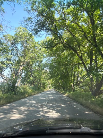 The image captures a sunlit, tree-lined road in Unatsite, Bulgaria, from the perspective of a vehicle, likely looking out a side window. Lush green trees with substantial branches create a dense, overarching canopy, forming a natural tunnel over the pathway. Through gaps in the foliage, clear blue sky is visible, indicating bright, sunny weather.
The road surface, appearing to be asphalt or concrete, displays numerous cracks and subtle white road markings, suggesting it might be an older route. Brilliant sunlight penetrates the tree canopy, casting prominent, dappled shadows that checker the road surface. This interplay of light and shadow highlights the daytime setting, likely mid-morning to late afternoon.
On the far right of the frame, elements of the vehicle's interior, such as a dark window frame and a component resembling a wiper blade or mirror casing, are visible. Green grass and undergrowth line the edges of the road, contributing to the natural, verdant environment. The scene evokes a sense of tranquil travel through a scenic, tree-covered pathway. No visible text is present in the image.