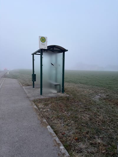 The image depicts a static, outdoor scene at a bus stop in Ferschnitz-Friedegg, Austria, on a heavily fog-obscured day. The foreground features a gray asphalt sidewalk leading to a gray concrete pad where a bus stop shelter stands. The shelter comprises a dark green metal frame, a dark curved roof, and three frosted or semi-transparent panels. A dark bench is visible inside. A dark green trash receptacle is attached to a pole on the left side of the shelter. Mounted above the shelter is a circular yellow sign with a green 'H', indicating a bus stop, bearing the text "Ferschnitz Friedegg" and "VOR". A black bird silhouette is affixed to one of the shelter's frosted panels.

To the right of the bus stop, an expansive open field of sparse, frosted green and brown grass extends into the heavy fog, rendering distant features indistinct. To the left, the sidewalk transitions into a road, along which a white-and-red reflective road marker is visible in the middle distance. A faint, reddish vehicle is partially visible further down the road, receding into the fog. The sky is uniformly light gray due to the dense atmospheric conditions. No individuals are present, and no actions are discernible within the scene.