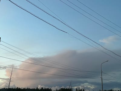 The image captures a sky filled with power lines in Tabaga, Russia. A large, pinkish-grey cloud dominates the middle ground, with the faint silhouette of trees forming the horizon line. A lone, bare tree stands to the left, its branches stark against the sky. On the right, a streetlamp stands tall amidst the network of wires. The sky is a pale blue, with hints of darker clouds towards the bottom.