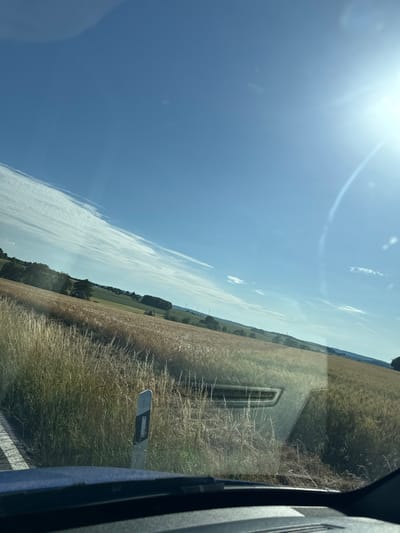 The image shows a bright, sunny day in Niederwetz, Germany, with a clear blue sky dotted with wispy white clouds. The sun is high in the sky and slightly to the right, casting a bright glare. In the foreground, a grassy field with tall, dry stalks stretches out, bordering a road with a white line marking its edge. A reflective road marker, white with a black top and a rectangular reflective element, stands on the right side of the road. The middle ground features a golden field of ripe wheat, extending towards a gently rolling landscape with scattered trees and rolling hills in the distance. Two wind turbines are visible on the horizon, one to the left and another further to the right. The perspective suggests the photo was taken from inside a vehicle, looking out through the windshield, as the dashboard is partially visible at the bottom of the frame. The overall impression is one of a rural, agricultural landscape on a summer day.