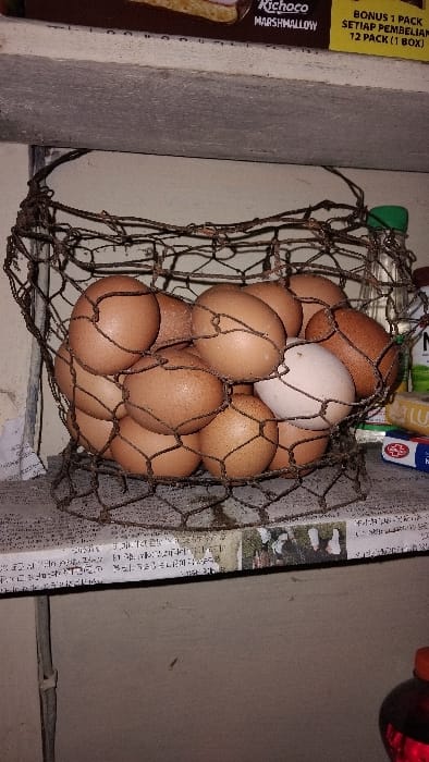 The image shows a wire basket filled with approximately 15 brown chicken eggs, located on a shelf in an indoor space. The shelf appears to be in a kitchen or pantry, as it contains various household items. The eggs are arranged in a loose, haphazard manner, with some of them slightly protruding from the basket. There is a white, slightly textured wall behind the shelf, and the upper portion of the shelf is made of wood, painted white. The shelf is located in a home in Panjalu, Indonesia, with coordinates of -7.142 latitude and 108.278 longitude. The eggs are likely fresh, as they are displayed in a typical household setting and the date on the packaging behind the basket suggests that these products are purchased at a local market. The image is a close-up shot, focused on the basket of eggs.