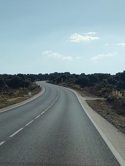 The image depicts a winding asphalt road cutting through a landscape of low, dense vegetation under a clear blue sky with scattered clouds. The road, marked with white dashed lines, curves to the left and then to the right, suggesting it leads through a rural or semi-rural area. On either side of the road, there are trees and shrubs, with some taller grasses and dry vegetation along the roadside. Two road signs are visible on the right side of the road, one circular with a red border and a horizontal line inside, and another triangular with a red border and a symbol inside, possibly indicating a hazard or restriction. The scene appears to be an outdoor, daytime setting. Based on visual cues and location context, this scene is located in or near Villaseco de los Gamitos, Spain, characterized by its natural terrain and rural roads.