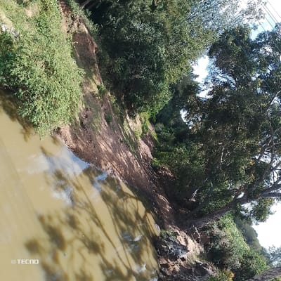 An image, rotated approximately 90 degrees counter-clockwise, depicts a natural outdoor scene featuring a water body. A muddy, brown-colored river or stream occupies the foreground and midground, reflecting overhead trees and a partially cloudy sky. The water's surface exhibits distinct shadow patterns from nearby foliage. Both banks of the water body are steep and composed of reddish-brown soil, indicating erosion. The immediate bank on the left (viewer's left, corresponding to the right bank when upright) is densely covered with green bushes and smaller trees. The bank on the right (viewer's right, corresponding to the left bank when upright) is also vegetated, with a prominent, large tree featuring a light-colored trunk and branches extending over the water. Dense green foliage and a canopy of trees line both sides of the watercourse, extending into the background. Portions of a bright blue sky with scattered white clouds are visible through gaps in the tree canopy in the upper right. No human figures or discernible structures are present. A "©TECNO" watermark is visible in the lower-left corner of the image. The depicted location is Mumbuni North ward, Kenya.