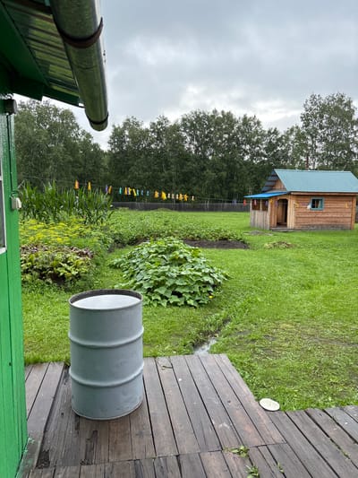 A gray metal barrel filled with water stands on a wooden deck in front of a green-painted building. Beyond the deck, a lush green garden is visible, with rows of corn, beets, and other vegetables. In the background, a small wooden house with a blue roof stands under a cloudy sky. A clothesline with colorful clothespins stretches across the garden, and a dense forest forms the backdrop. The scene appears to be a rural homestead in Gonja, Russia.