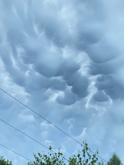 The image shows a dramatic sky filled with mammatus clouds. These pouch-like formations hang beneath a larger cloud, creating an unusual and somewhat ominous appearance. The clouds are predominantly shades of gray and white, suggesting a stormy or overcast weather condition. In the upper right and along the right edge of the frame, there are glimpses of green foliage from trees and branches, with the leaves appearing vibrant and healthy. Several dark, thin power lines cut diagonally across the sky, from the lower right towards the upper left, suggesting an outdoor setting with man-made infrastructure. The lighting implies it is daytime, likely late afternoon or early evening, given the subdued light and the dramatic cloud formations often associated with severe weather. There is no visible text in the image. The scene evokes a sense of awe and perhaps a touch of unease due to the unusual cloud patterns. The location context of Bielsko-Biala, Poland, places this atmospheric phenomenon in a specific geographical setting.