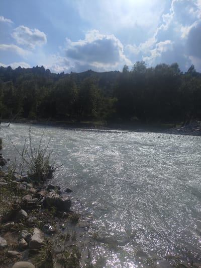 The image depicts a wide, fast-flowing river under a bright, sunny sky with scattered clouds. The water is milky or light-colored and appears to be turbulent, with numerous ripples and reflections of the sunlight on its surface. The riverbank on the left is rocky and covered with sparse vegetation, including grasses and small bushes. Further inland, a dense line of dark green trees stretches across the horizon, forming a backdrop against the sky. Behind the trees, the silhouettes of rolling hills or mountains are visible. The sun is high in the sky, suggesting it is midday. The overall mood is one of natural beauty and a sense of a remote, possibly wild, location. There is no visible text in the image.