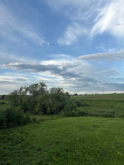 The image captures a landscape scene, likely in Permyak, Russia. The composition is divided between a vast, cloudy sky and a verdant green field. The sky, on the left side of the frame, features a mix of bright white cirrus clouds streaking across a pale blue background, interspersed with heavier, darker gray clouds. This suggests a dynamic weather pattern, possibly indicative of an approaching or receding storm, or simply a mix of fair and overcast conditions. The time of day appears to be late afternoon or early evening, given the soft lighting and the long shadows that would be cast by such cloud formations.
To the right of the sky, a dense line of trees forms a natural border, transitioning into a wide, lush green field. The field itself is uniform in color, suggesting it might be a cultivated crop or a well-maintained meadow. Small yellow flowers are visible scattered throughout the grass, adding a touch of color to the predominantly green expanse. In the far distance, a faint line of buildings and what appear to be utility poles or wind turbines can be seen, hinting at a nearby settlement or rural infrastructure. The overall mood is serene and natural, emphasizing the beauty of the open landscape under a dramatic sky. There is no visible text in the image.