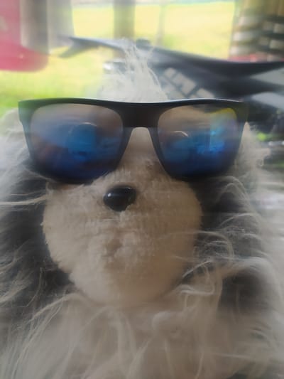 The image shows a close-up of a stuffed animal, likely a dog, wearing sunglasses. The stuffed animal has fluffy white fur and a black nose. The sunglasses are dark with blue, reflective lenses. The background is out of focus and appears to be an indoor setting with some light and greenery visible through a window or glass. The overall impression is playful and whimsical. There is no visible text in the image. The context of Hoverla, Ukraine is not visually evident in the photograph.