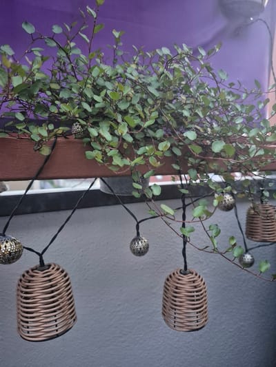 The image depicts a close-up, eye-level view of a balcony railing in Hagen, Germany. A potted plant with small, green leaves and dark stems cascades over the railing. Below the plant, a string of decorative lights hangs, featuring a mix of metallic spherical bulbs with intricate patterns and bell-shaped woven rattan shades. The background consists of a plain purple fabric draped behind the plant and a textured grey wall. The overall scene suggests an outdoor setting, possibly a residential balcony, decorated for ambiance.