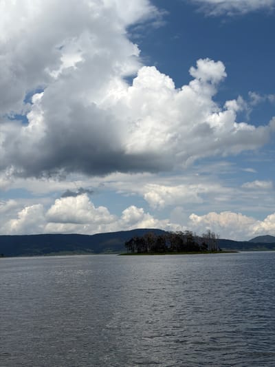 The image depicts a panoramic landscape in Цигов чарк, Bulgaria, featuring a large body of water, a tree-covered island, and distant mountains under a dynamic sky.
The upper portion of the image is dominated by an expansive sky filled with numerous large, white cumulus clouds, exhibiting significant volumetric depth and varied shading from bright white to darker grey. Sections of clear, deep blue sky are visible, particularly in the upper right.
In the middle ground, a small, elongated island or peninsula protrudes from the water, densely covered with a cluster of trees. Some trees display dark green foliage, while others, particularly towards the right side of the cluster, appear bare with light, bleached branches. Behind the island, a dark, undulating range of mountains or hills extends across the horizon, appearing densely forested. Faint structures of a human settlement are discernible at the base of these mountains on the left.
The lower half of the image is occupied by the expansive water body, likely the Batak Reservoir. Its surface is characterized by a textured pattern of small, wind-generated ripples, rendering the water a consistent dark grey-blue hue. No human figures, vessels, or distinct man-made structures are present in the foreground or on the water's surface. The scene is illuminated by natural daylight, suggesting mixed weather conditions with both bright intervals and heavy cloud cover.