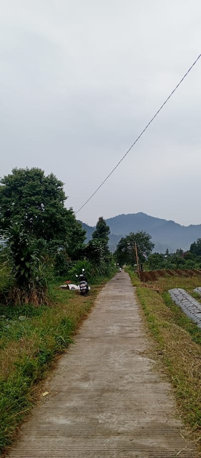 The image shows a paved pathway receding into the distance, flanked by lush green vegetation and trees. In the foreground, a motorcycle is parked on the left side of the path, next to a pile of white material. The pathway appears to be a rural road or a path through agricultural land, with mountains visible in the background under an overcast sky. A thin wire stretches diagonally across the upper portion of the frame. Two figures are visible in the distance walking on the pathway. The scene suggests a tranquil, natural setting in a region likely to be rural or semi-rural. The presence of the motorcycle and pathway indicates human activity and infrastructure within this natural landscape. The overall impression is one of a slightly overcast day in a scenic, green environment.