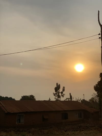 An earthy-toned landscape features a hazy sky with the sun shining through. To the right, a building with a rusty red roof is partially visible, windows punctuating its walls. Trees grow near the building and behind it. Power lines stretch across the top left of the frame, connected to a branch. The overall scene conveys a rural or natural setting, potentially shrouded in mist or smoke.