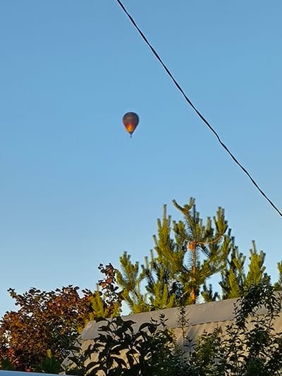 A hot air balloon is visible in the upper part of the image against a clear blue sky. The balloon appears to be illuminated from within, showing hues of orange and yellow. A dark, thin wire cuts across the upper right portion of the frame. Below the balloon and in the middle ground, the tops of evergreen trees are prominent, with some branches appearing to have a light, orangish glow, possibly from the setting sun. In the foreground, the tops of deciduous trees with dark brown leaves and some green foliage are visible, along with a light-colored structure, possibly a roof or fence. The scene is outdoors, with natural lighting.