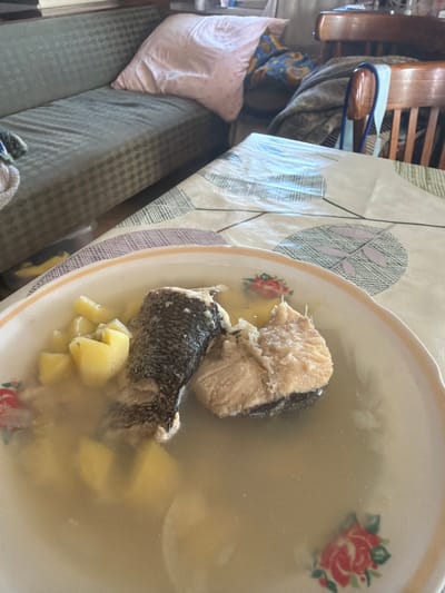 A close-up shot captures a bowl of fish soup with potatoes on a tablecloth. The soup contains pieces of fish with skin and several potato chunks in a clear broth. The bowl has a floral pattern on its rim. In the background, a portion of a couch with a pink pillow is visible, along with a wooden chair draped with blankets. The overall environment suggests an indoor setting, likely a home. There is no indication of Jalguba, Russia or any specific location.
